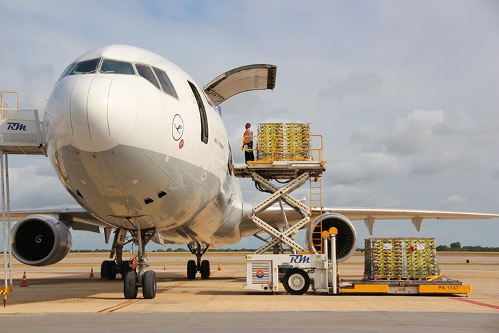 air-cargo-charter-2c-cargo-charter-flight-in-india-2c-charter-aircraft-cargo air-cargo-charter-2c-cargo-charter-flight-in-india-2c-charter-aircraft-cargo